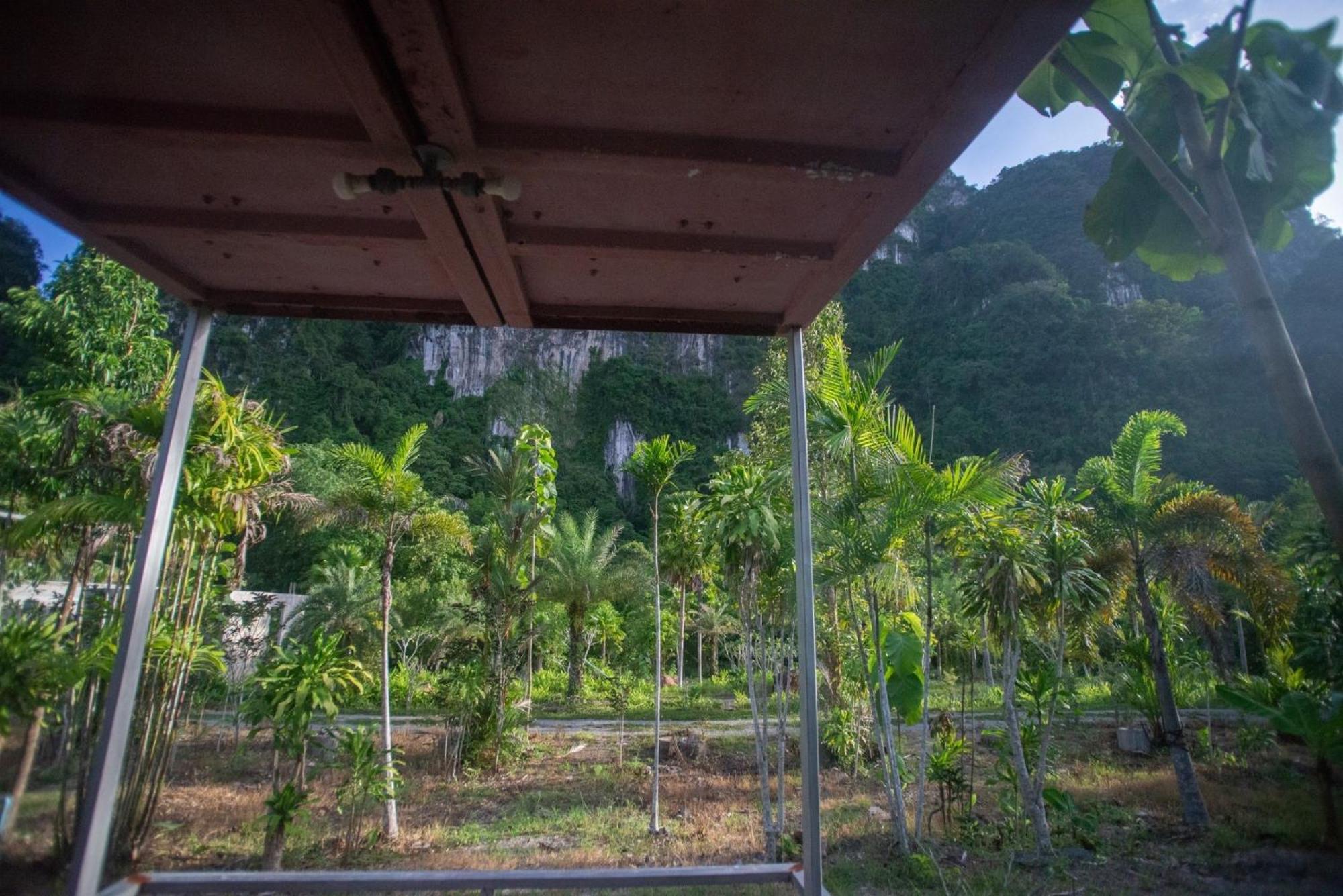 The Camper Lodge Khao Sok Ban Bang Bon Εξωτερικό φωτογραφία
